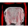 Halloween with Blood Cloth Hanging Blood Palm Cloth Bar Haunted House Secret Room Scary Atmosphere Venue Decoration Props
