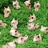 20pcs Resin Dragon Skull Decoration Mini Paving Stone Outdoor Landscape Decoration Dragon Skull Design Flowerpot Filler Stones