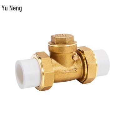 PPR Brass Hot Melt Check Valve