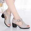 Ladies Shoes On Sale 2024 Brand One-word Buckle Women's Sandals Summer Solid Open Toe Chunky Heels Roman Fish Mouth Sandals