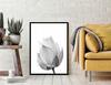 Picture poster In a frame 43x33 cm Flower P1147