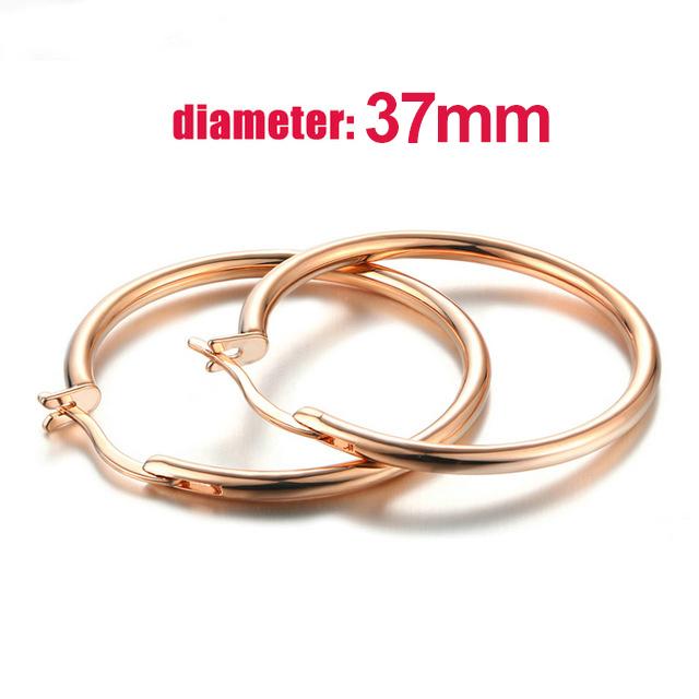 Big Hoop Earrings For Women Minimalist Circle Classic Cartilage Earring Rose Gold Color Hoops Fashion Jewelry Wholesale E780