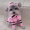 Dog Winter Wear 1 Set(hat+scarf+leg Warmers) Rainbow Stripe Knitted Dog Scarf Winter Warm Hat Footwear Sloves Pet Clothes