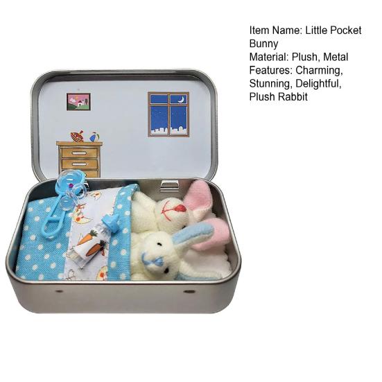 Little Pocket Bunny in Box Mini Bunny Hug Easter Basket Stuffer Plush Rabbit Living in A Box Cute Easter Gift for Kids Teens Girls