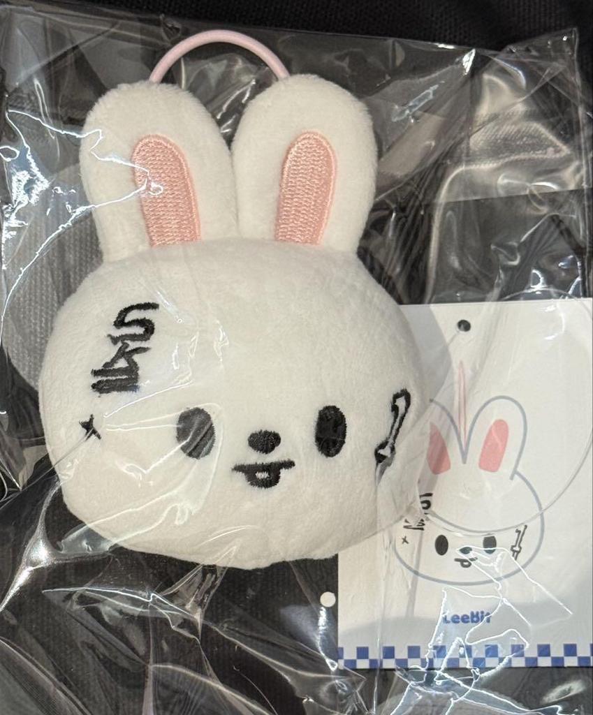 [USED] Straykids Karma Popup Name Tag Levit