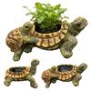 Kleine Schildpad Bloempot Hars Schildpadvormige Bloempot met Afvoergaatjes Schattige Dierlijke Cactussen Potten voor Kantoor Home Bureau Decoratie