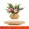 Creative Magnetic Levitation Potted Bonsai Plants
