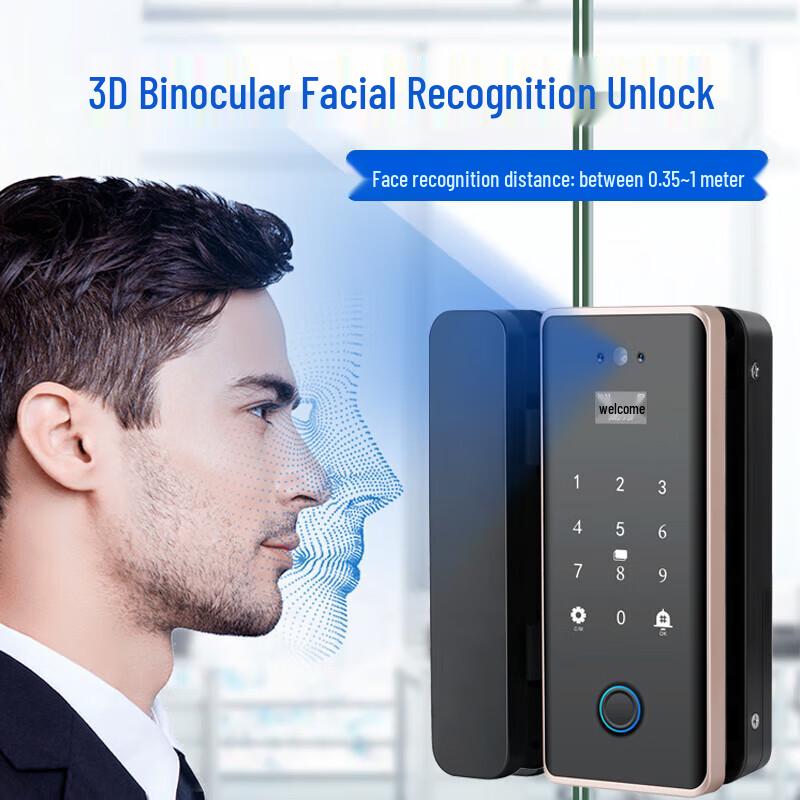 Realand ZD508 Face Recognition Glass Door Smart Lock