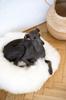 Round Natural Sheepskin Pet Bed - White 60 cm