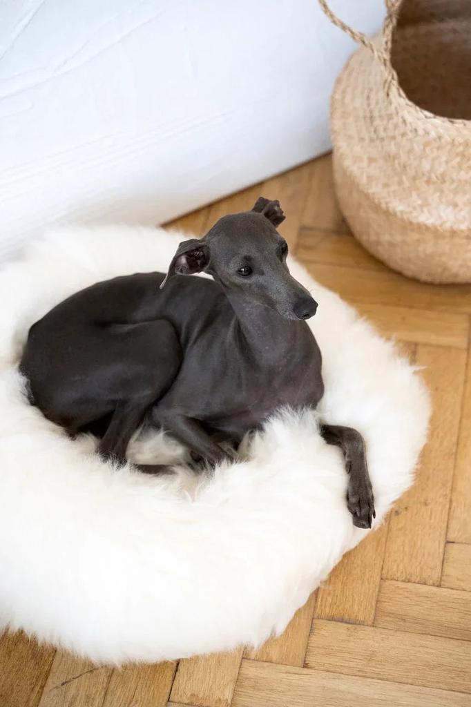 Round Natural Sheepskin Pet Bed - White 60 cm