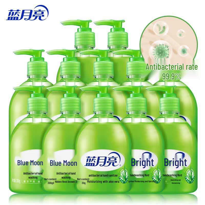 Blue Moon Antibacterial Foaming Hand Wash