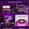 Crystal 5 Bluetooth Speaker: Desktop Stereo Surround Sound with App Control for Home Use