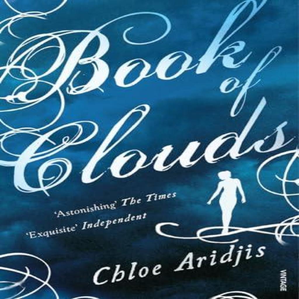 Book of Clouds by Chloe Aridjis Paperback Book 9780099539599