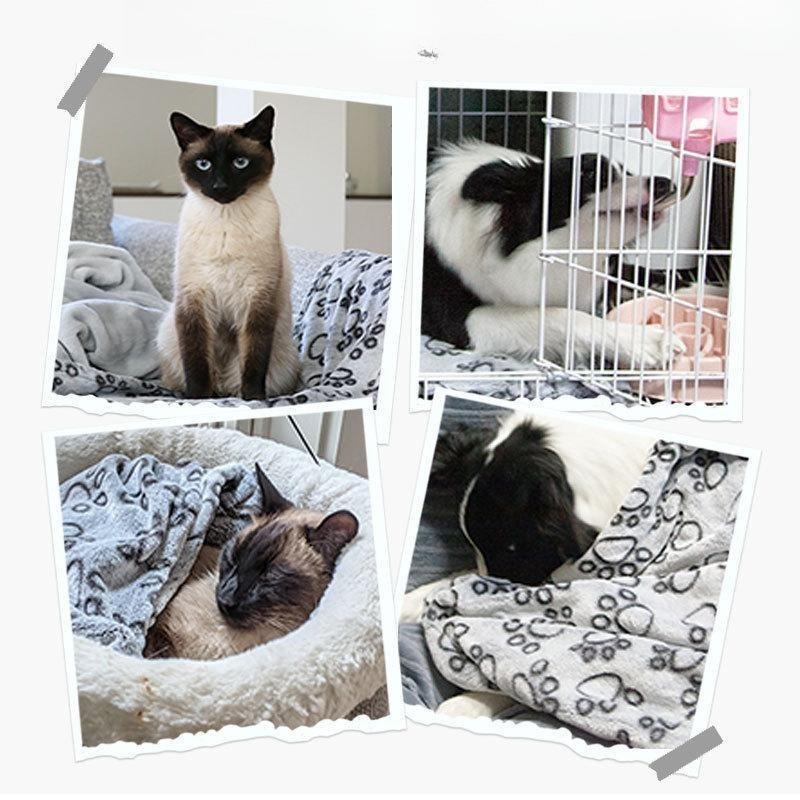Warm Flannel Cut Paw Print Pet Blanket Soft Cozy Throw for Dogs Cats Couch Bed Essential