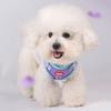 Fashion Pet Harness and Leash Set for Small Dogs Summer Breathable Puppy Dog Vest Harnesses Pinscher Chihuahua mascotas Supplies