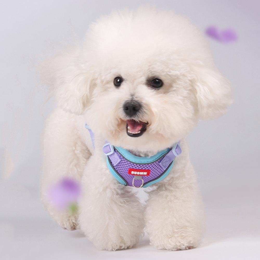 Fashion Pet Harness and Leash Set for Small Dogs Summer Breathable Puppy Dog Vest Harnesses Pinscher Chihuahua mascotas Supplies