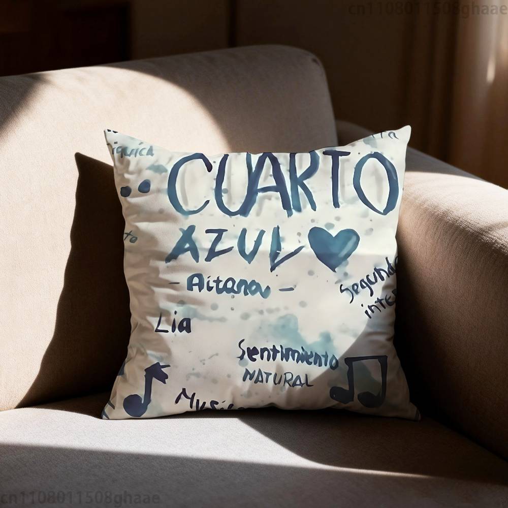 AAitana Cuarto azul Pillow Case Square DoubleSided Printing Short Plush Sofa Cushion Cover Bedroom Bedside Pillow