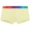 Rainbow Gradient Waistband Fitted Boxer Briefs Men Underwear Beige NB2709-ZI9
