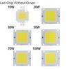 White/ Warm white 10W 20W 30W 50W 70W 100W Light Source LED COB Chip with Power Supply Driver