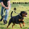 Colaseeme Dog LED Light for Medium and Large USB Visibility Range 500m Leash, Dogs, Rechargeable, (Colorful, 1.5m)