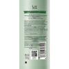 SLEK Tea Tree Oil Control Volumizing Anti-Dandruff Hair Care Set