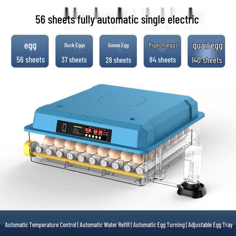 Smart Mini Household Incubator: Fully Automatic Quail & Chicken Egg Incubator with Constant Temperature Control