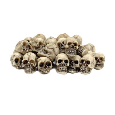 Mini Skulls Set 40 Resin Skull Models for Decoration and DIY Craft Creative Detailed Resin Ornaments
