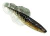 Chasebaits Flacid Shad 3 cali Przynęta Miękka 7/Op. Krwiste Złoto (4655)