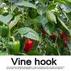 100pcs Climbing Plant Vertical Growth Support Clip Growing Assistance Holder For Tomato Plant And Vegetable Stems