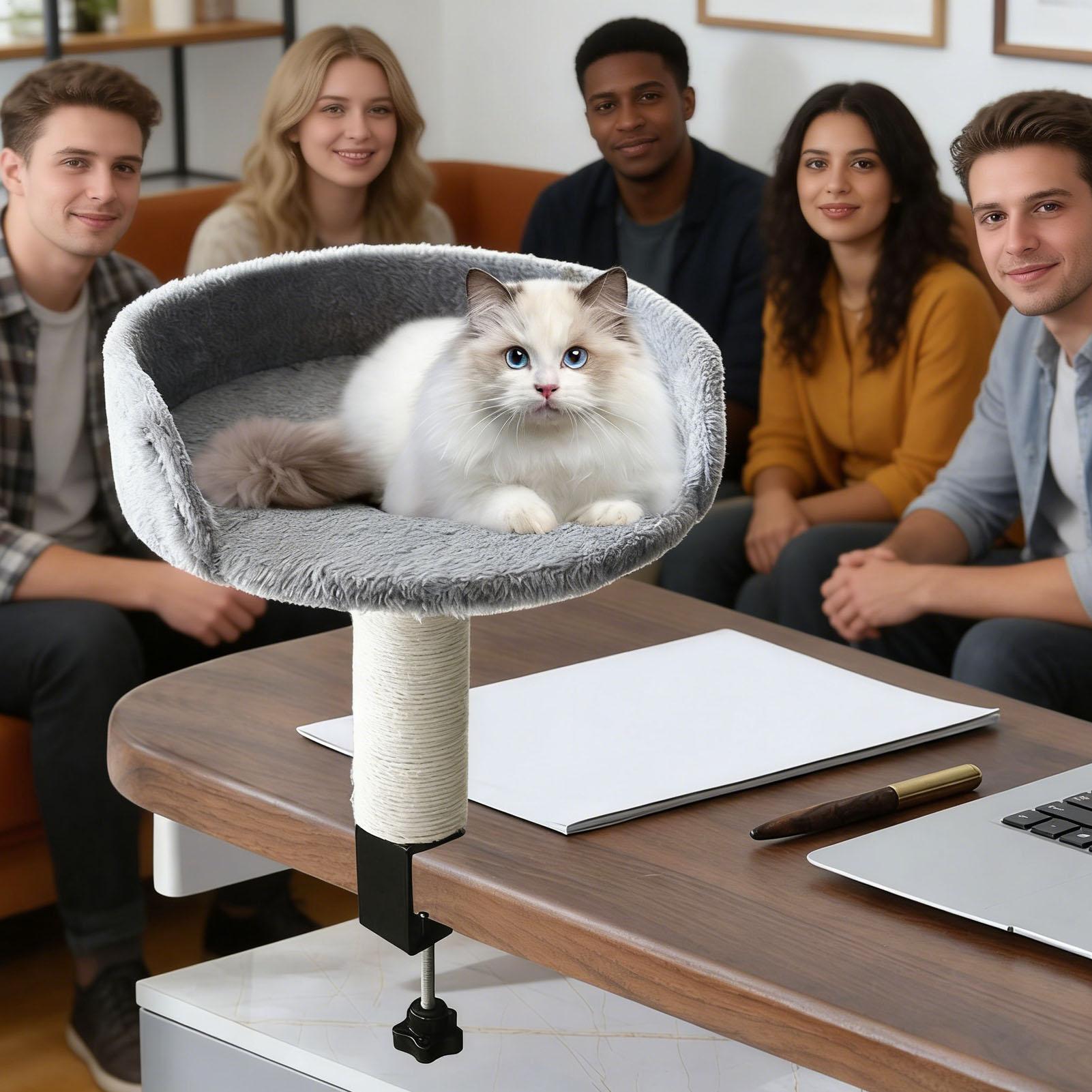 

Cat Desk Perch Adjustable Soft Cat Nest Desktop Kitten Bed Attachment For Kittens Pets Animals Indoor Home Apartment Living Room China Mainland