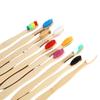 Hot Sale Premium Natural Private Label Round Reusable Toothbrush for Hotel Travel with Charcoal Bristles Customized Logo
