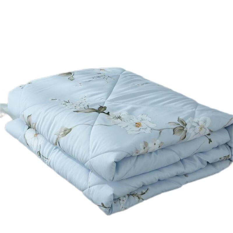 Mengjie Soft Summer Quilt