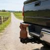 Trailer Hitch Ball Cover 3D Printed Dachshund Dog Hitch Ball Protector Cap Funny Towing Hitch Ball Cover for RV Trailer Truck Accessories