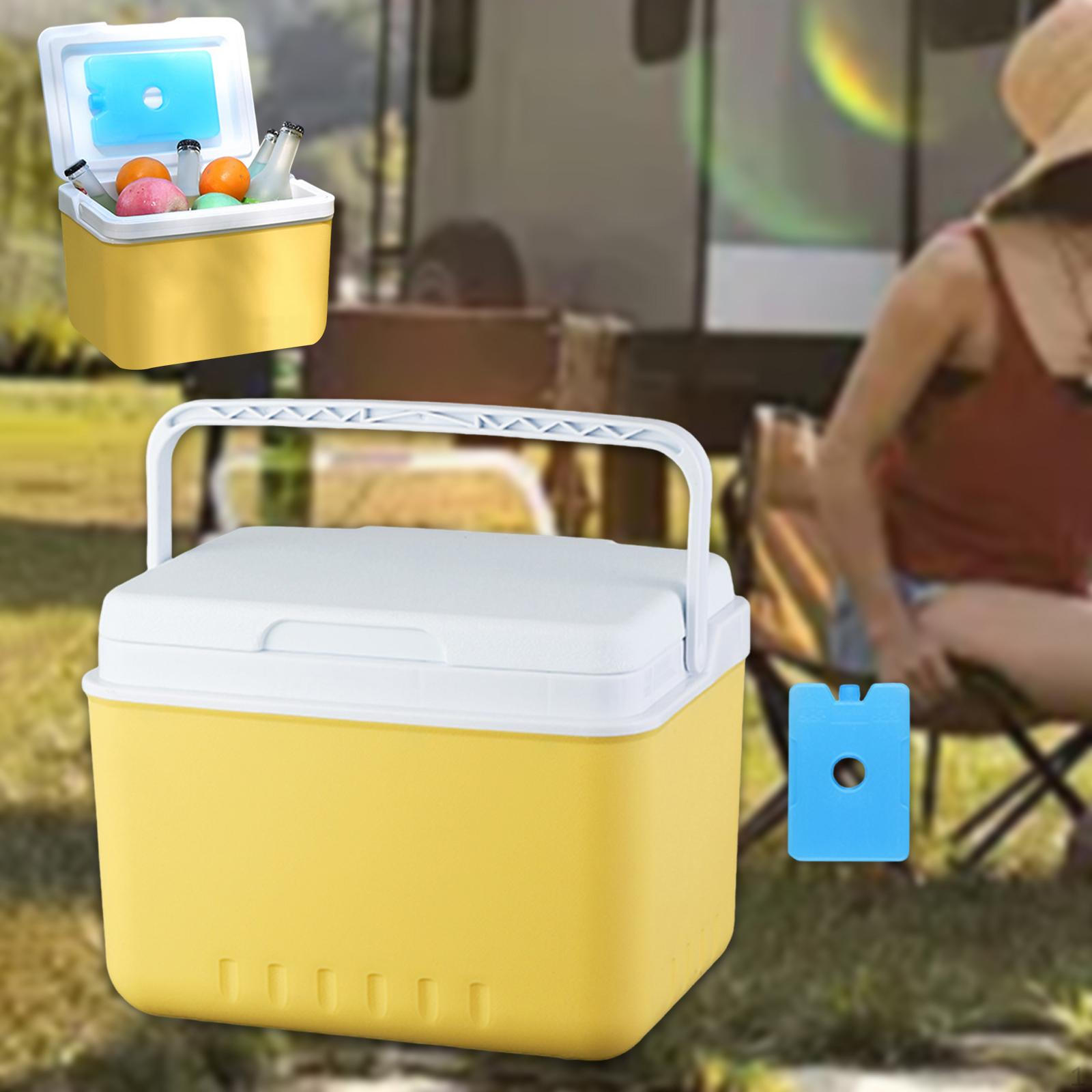 

Сумка-холодильник для хранения вещей для кемпинга с ручкой, органайзер для хранения льда для путешествий и пикников 5L