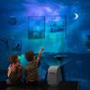Starry sky light Water ripple light Atmosphere light Colorful music projection Night light Shadow light Night light