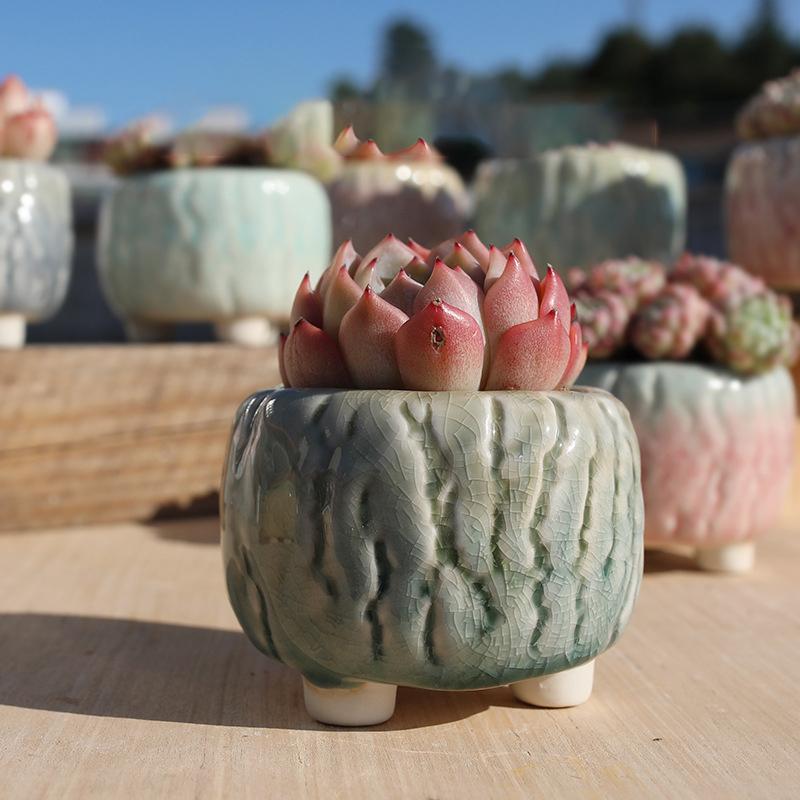 NEW Ceramic Flower Pot Creative Design Ice Cracked Glaze Succulent Pot Planter Small Flowerpot Home Hotel Ornament Decoration