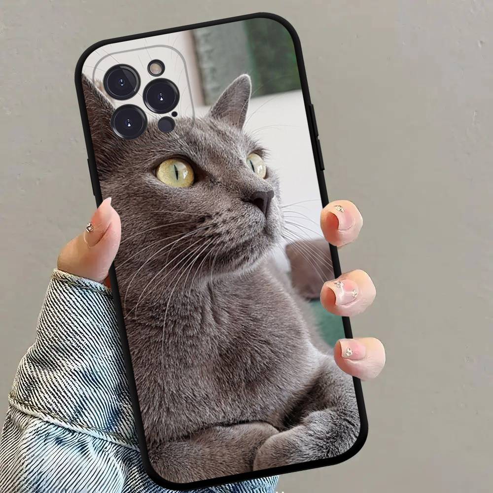 British shorthair cat Phone Case Black Soft Silicone TPU Phone Case For IPhone 11 12 13 14 15 16 17 Pro Plus Mini Max