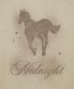 MIDNIGHT MOVE Horse T (Beige)