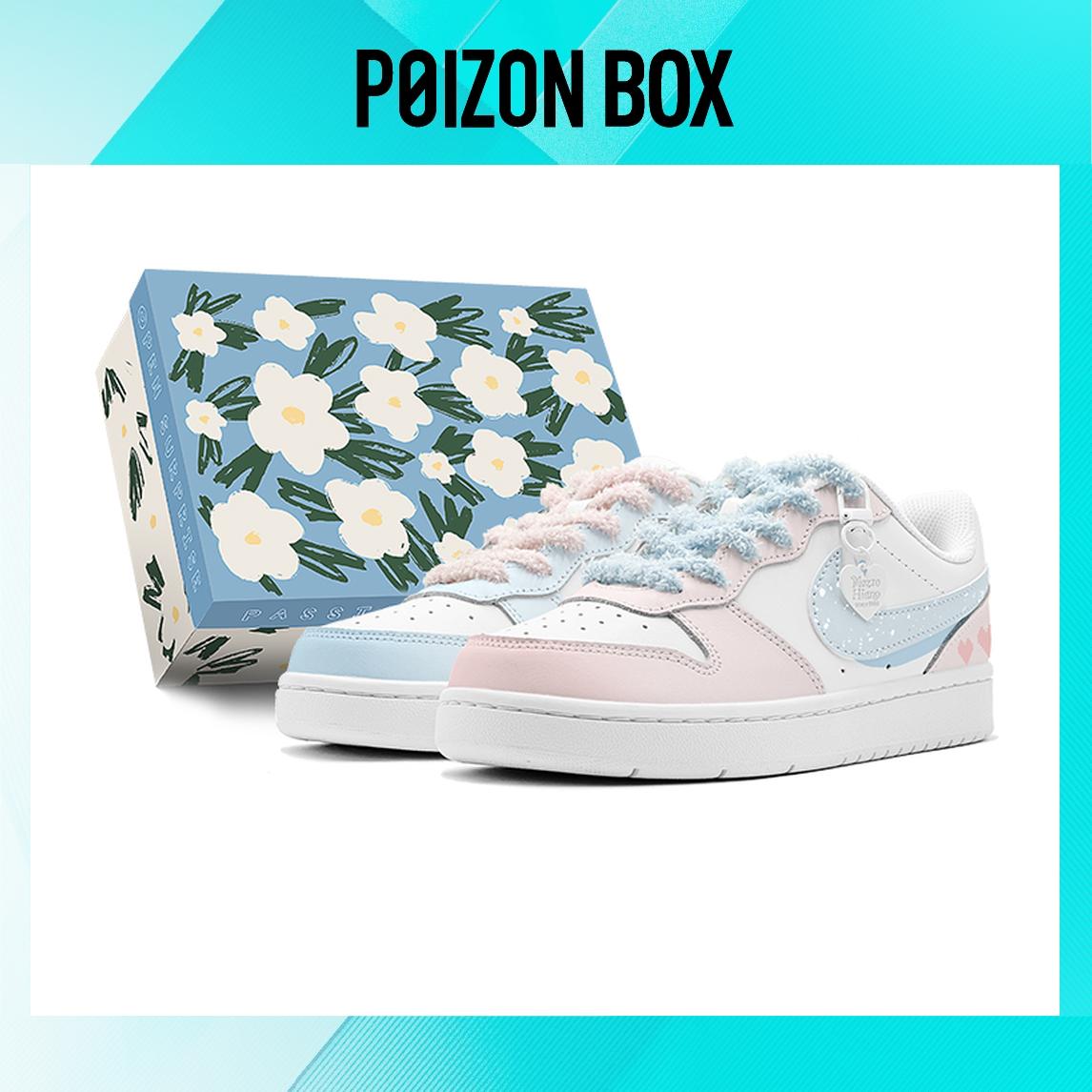 

Nike Court Borough Low Skateboarding Shoes Women