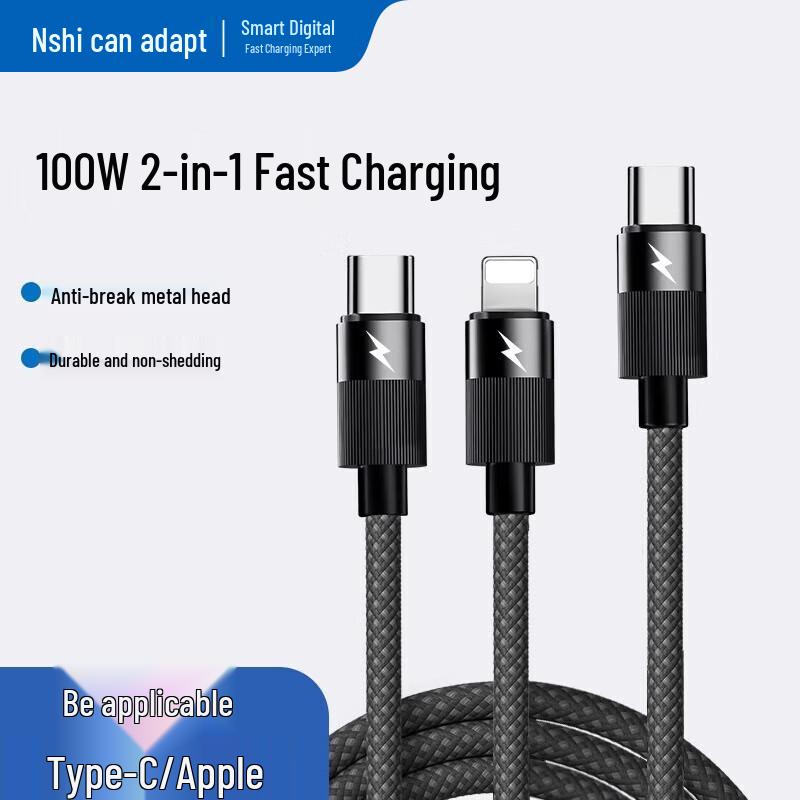 Nengshi PD 100W 2-in-1 Type-C Fast Charging & Data Cable