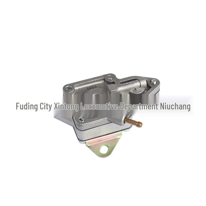 Pompe à carburant pour scooter ATV Cross-Country 400: Forest Sea 300/Compatible avec Véhicule de Plage ATV260