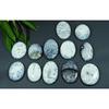 432Cts. Natural Dendrite Agate Cabochon Loose Gemstone 12Pcs Lot 30-41MM SY-50