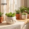 Succulents Planter Pot 3D Printed Pig Shaped Flowerpot, Decorative for Herb Petg Plants, Animal Mini Flower Holder Indoor Outdoor Small Desktop