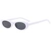 Protective Glasses Small Frame Sunglasses INS Women Cat Eye Sun Glasses New Classic Narrow Frame Retro Elliptical Eyeglasses