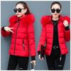 Women's Autumn and Winter Cotton Coat New Short Cotton Coat Slim Thickened Large Fur Collar Small Man Cotton Coat