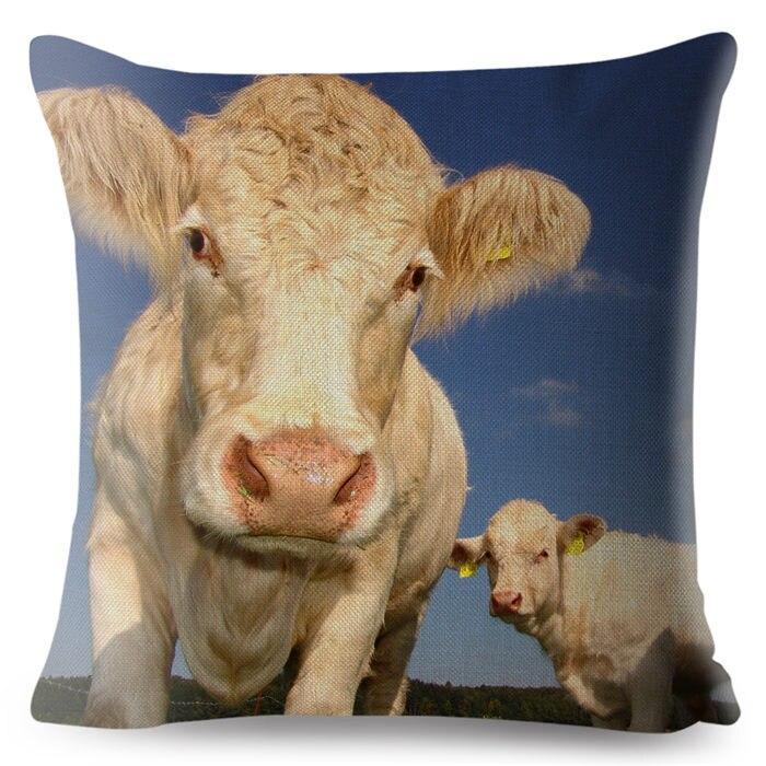 cow pillow covers