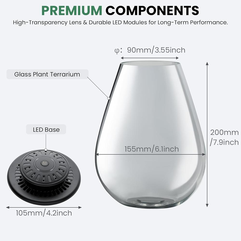 Terrario Piante in Vetro con Luce LED per la Crescita Terrario in Vetro Borosilicato con Ventilazione Regolabile e Timer, per Pianta Carnivora, Muschio