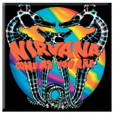 Come As You Are Fridge Magnet