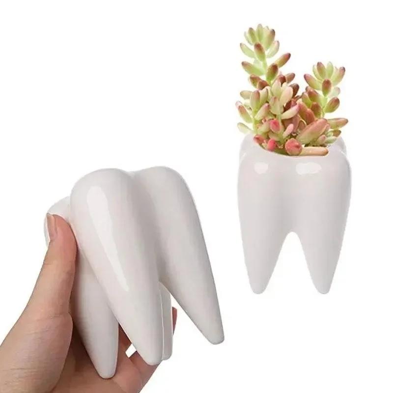 1pc Garden Gardening Tooth Shaped Succulent Pot Pure White Ceramic Pen Holder Home Decoration Planter