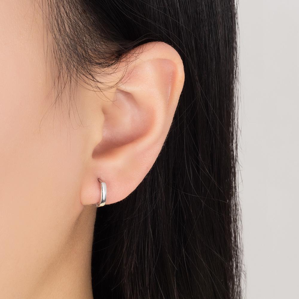Niche Design Hoop Earrings for Women – Versatile High-End Fashion Ear Studs